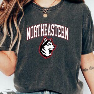 Northeastern Shirt, College Apparel, Northeastern Sweater, University Gift, Grad